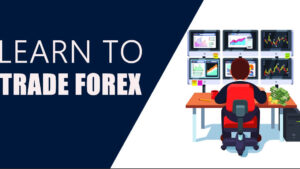Forex Made Easy: A 5-Day Beginner's Journey into Currency Trading